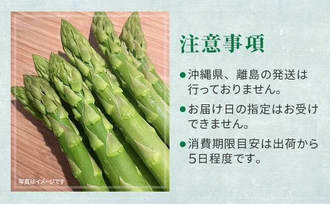 ［武田農園とれたて直送］2027年春～発送 グリーンアスパラ 2L 1kg やわらかくて抜群にあまい！北海道 富良野産 (アスパラガス アスパラ 野菜 新鮮 産地直送 先行予約 限定)