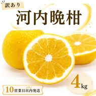 【10営業日以内発送】訳あり 河内晩柑 ばんかん 約 4kg 不揃い 大小ミックス お試し 少なめ 傷あり 柑橘 かんきつ フルーツ 果物 くだもの すぐ届く おいしい 甘い 厳選 愛媛 みかん 蜜柑 Mikan 愛南 ご当地 ブランド 野菜 サラダ ピール ゼリー お菓子 お中元 お盆 家族 デザート マルエム直販 愛媛県 愛南町