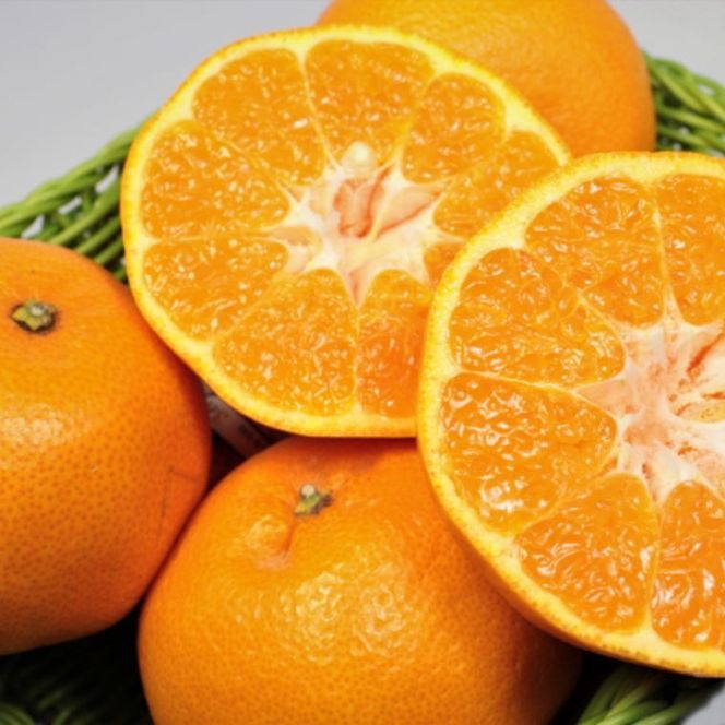 ZD7033_【2027年先行予約】【厳選・濃厚】紀州有田産の はるみ 約5kg (Lサイズ)