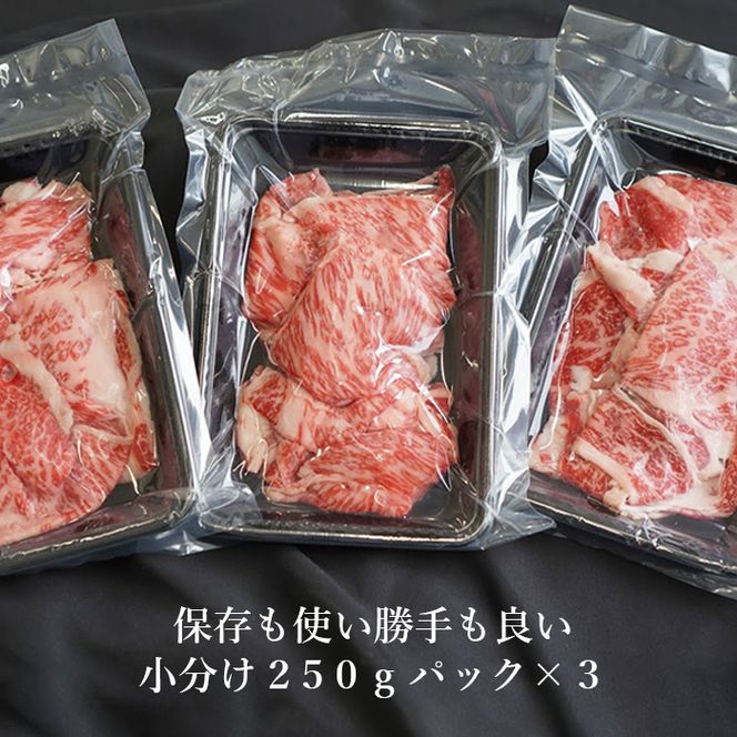 【定期便12ヶ月】 淡路牛 ロース切り落し 750g (250g×3パック)　切り落し