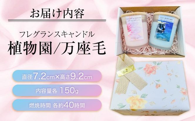 ふるさと納税限定 フレグランスキャンドル 『沖縄シリーズ』 2種セット (万座毛・植物園) キャンドル おしゃれ ルームフレグランス アロマキャンドル ギフト 沖縄市 / Earth & Pure[BCDJ012]