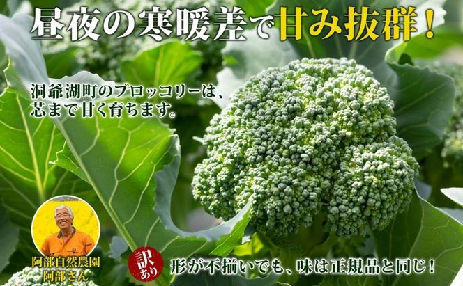 【訳あり】洞爺湖町産・冷凍ブロッコリー1kg 野菜 冷凍 冷凍野菜 カット野菜 簡単調理 ワケあり 