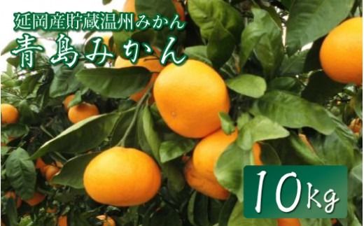 青島みかん（10kg）12月下旬から発送 N050-YA757