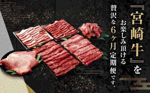 ＜ミヤチク 宮崎牛6ヶ月定期便＞【2025年2月より順次発送】 合計約3kg 和牛 定期 宮崎牛 新生活応援 卒業祝い 就職祝い 入学 卒業 お花見 引越し