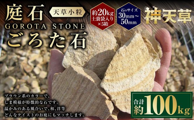 yF{Vszy5z΁A낽 Vi30mm`50mmj 20kgyXܓ v100kg V  uE F   VR  F{ Vs