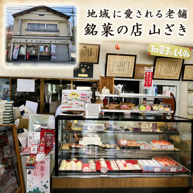 アイス くずバー 10本 詰め合わせ セット 溶けないアイス 食べ比べ フルーツアイス スイーツ お菓子 菓子 和菓子 おやつ デザート シャーベット ご当地スイーツ ご当地 お土産 葛バー 冷凍 冷凍配送 青森 鰺ヶ沢町