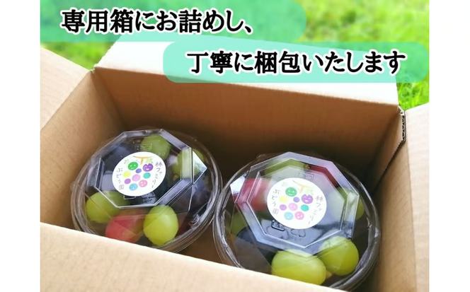 ※2026年の予約です！※【産地直送】フルーツ王国岡山！シャインマスカット入りぶどう粒カップ×２ / 岡山 真庭 シャインマスカット 食べ比べ 葡萄 ブドウ ぶどう 新鮮 果物 フルーツ 人気 数量限定 粒切 食べやすい ギフト ぶどう専門 林ファミリー (2026年9月～発送予定) 【hfbd002-02】