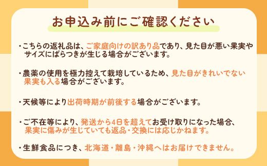 【先行予約】ご家庭用 完熟 有田みかん 10.2kg(10kg+200g(傷み補償分))