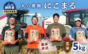 【予約】令和8年度産 静岡産 にこまる 玄米 5kg 米 コメ にこまる 袋井市 静岡県