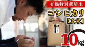 【 先行予約 】＜ 令和6年産 ＞ 三百年続く農家の有機特別栽培 コシヒカリ ( 玄米 10kg) 有機栽培 農創 米 こめ コメ ごはん ご飯 玄米 国産 茨城県産 おいしい 新生活 プレゼント 新生活応援 必要なもの 便利 おすすめ 消耗品 一人暮らし 二人暮らし 必要 [AC36-NT]