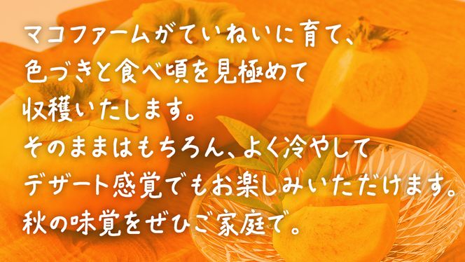 大秋柿 3kg 【 2026年10月上旬発送開始 】 ( 茨城県共通返礼品：大子町 ) 柿 カキ かき 果物 フルーツ 旬 季節限定 期間限定 農家直送 産地直送 [FC200us]