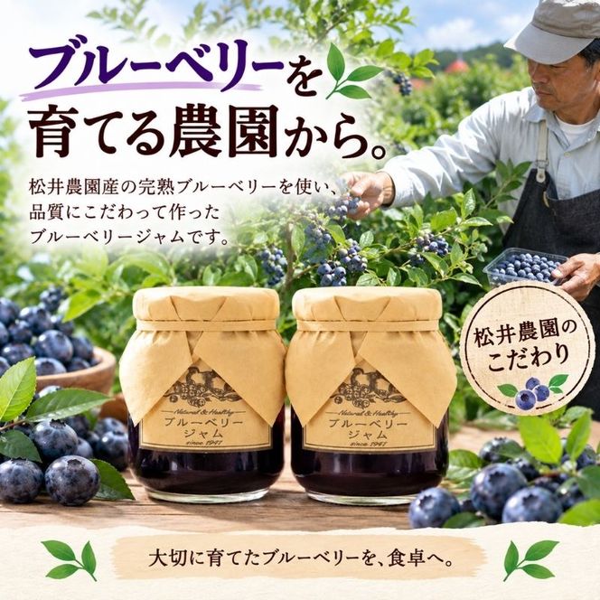 ジャム【ブルーベリージャム（140g）２個セット】ブルーベリー 完熟  果物 ペースト トッピング  トースト ヨーグルト 信州 長野