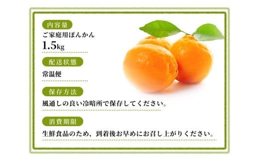 【ご家庭用】手選別 ぽんかん 約1.5kg 和歌山県産 2S~2Lサイズ混合※2026年1月上旬～2月上旬頃に順次発送【mrmt011】