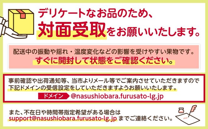 ns120-001 【先行受付】栃木県産　とちあいか約250ｇ×4パック【栃木県共通返礼品】【2027年1月下旬～発送予定】