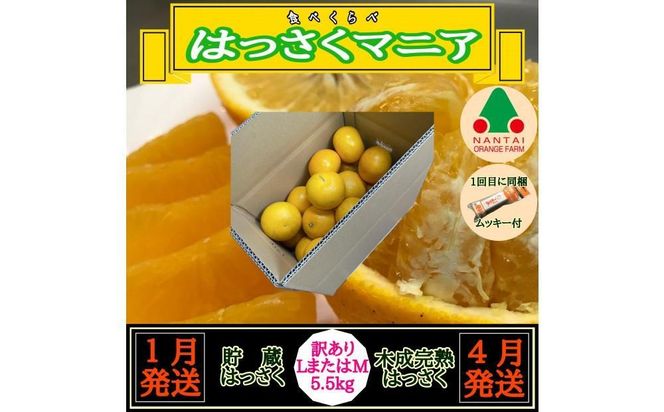 ya̎RLc쒬z1E4 S2  ͂ }jA   ؐn 󂠂菝 L ܂ M 5.5kg  a̎R Lc ׉  BS186