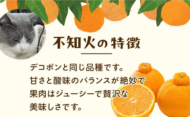 ［先行予約］厳選 不知火7.5kg+250g（傷み補償分）［デコポンと同品種・人気の春みかん］ 	CZ204