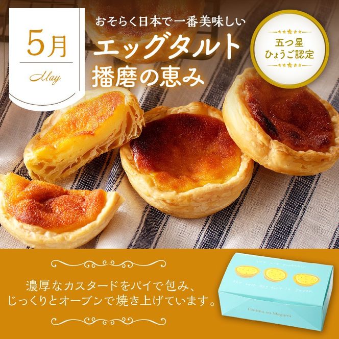 焼き菓子定期便《 焼き菓子 定期便 バニラカヌレ カヌレ エッグタルト タルト スナックパスタ フィナンシェ マドレーヌ サブレ お取り寄せ ギフト 送料無料 》【2502H99801】