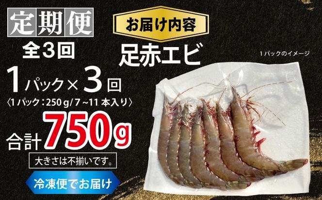 099Z386 【定期便】足赤エビ 250g×全3回 計750g【国産 えび 天然 ぷりぷり 海鮮 水揚げ 生食可】
