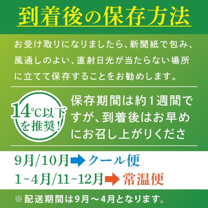 【訳あり】 河野農園 新鮮 長ねぎ ( 規格外 ) 約3kg｜ねぎ 野菜 茨城県 行方市(HW-1)