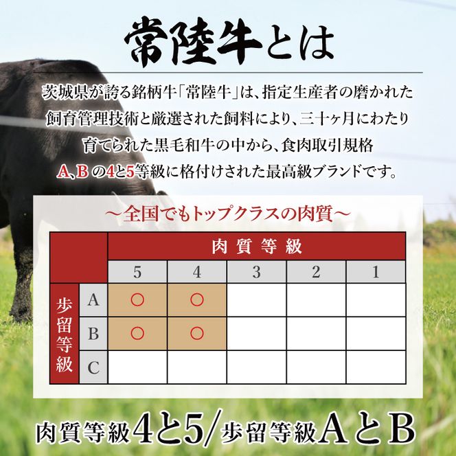 【数量限定】【最短7日発送】黒毛和牛 常陸牛 ふわっトロハンバーグ 150g×6個入り|肉 牛肉 和牛 国産 茨城県産 すぐ 届く(HI-4)