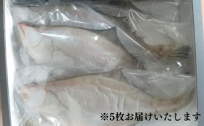 特大エテカレイ 一夜干し 5枚 [ カレイ 干物 小分け 個包装 ]