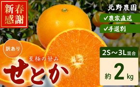DZ6230_ご家庭用 せとか 和歌山 有田 2S～3Lサイズ 大きさお任せ 約2kg