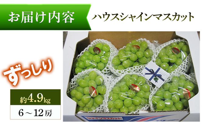 【8月31日（夏休み）までの期間限定価格!!】ハウスシャインマスカット　ずっしり　約4.9kg