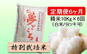 定期便 6カ月【 令和8年産 】毎月  精米 10kg（ 白米 /7分/ 5分 ツキ可）【 夢ごこち 】玄米は別に出品