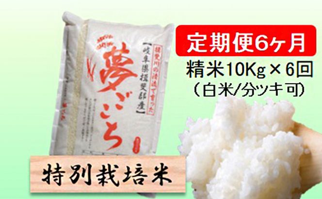 定期便 6カ月【 令和8年産 】毎月  精米 10kg（ 白米 /7分/ 5分 ツキ可）【 夢ごこち 】玄米は別に出品