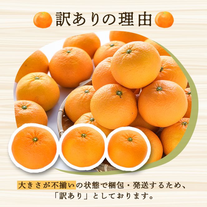 訳あり！紅甘夏(10kg) 国産 紅甘夏 柑橘 果物 フルーツ デザート 果実 期間限定 数量限定 【古田果樹園】akn093-04