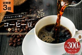 定期便 3回 コーヒー豆 3種セット 100g×3袋 [MARRON MOUNTAIN 埼玉県 小川町 308] 珈琲 ドリップ ダブルロースト製法 フルシティロースト