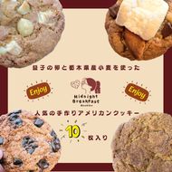 おまかせEnjoyセット　クッキー｜栃木県 益子町 ふるさと納税 クッキー セット 手作り 焼き菓子（CF002-1）
