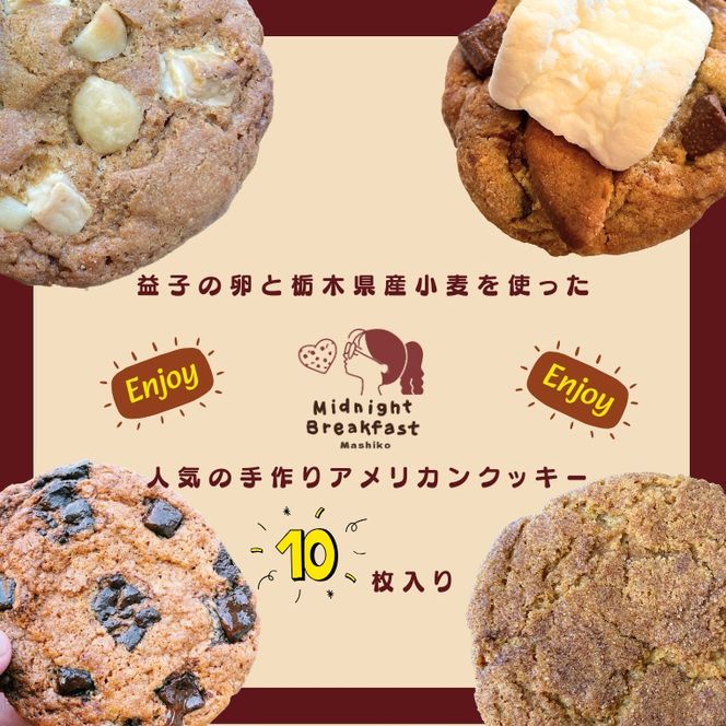 おまかせEnjoyセット　クッキー｜栃木県 益子町 ふるさと納税 クッキー セット 手作り 焼き菓子（CF002-1）