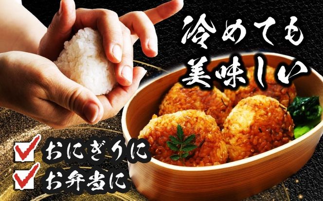 ＼2026年1月発送分／ あいちのかおり 白米 20kg / 脇野コンバイン[AECP003-4]