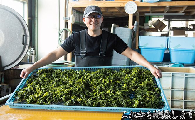 風味豊かな 瀬戸内 わかめ 22g×9袋 エビス水産【岡山 瀬戸内海 天然 カットわかめ】 常備菜 無添加 無着色 味噌汁 炊き込み 