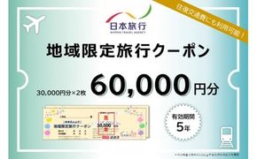 沖縄県石垣市　日本旅行　地域限定旅行クーポン60,000円分　【チケット 旅行 宿泊券 ホテル 観光 旅行 旅行券 交通費 体験 宿泊 夏休み 冬休み 家族旅行 ひとり カップル 夫婦 親子 トラベルクーポン 沖縄県石垣市旅行】NR-2