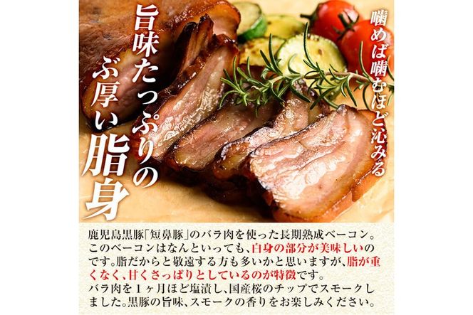 a877 《定期便全5回》鹿児島黒豚「短鼻豚」無添加ソーセージ＆長期熟成ベーコン【鹿児島ますや】姶良市 ウインナー ウィンナー フランクフルト ベーコンブロック 無添加 長期熟成 おつまみ 冷凍 黒豚 バラ肉 スモーク おかず