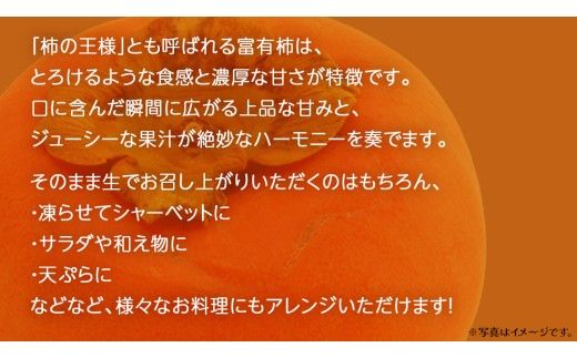 《 選べる 内容量 》【 訳あり 】 柿 約5kg/ 約10kg 【2026年10月上旬発送開始】(茨城県共通返礼品：大子町) 柿 かき カキ 果物 フルーツ 旬 季節限定 期間限定