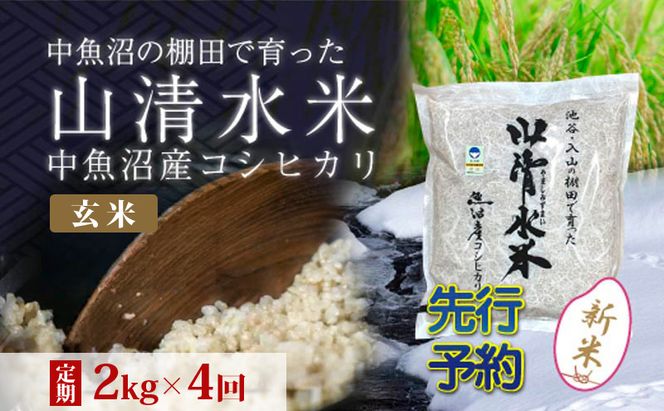 【令和8年産 先行予約】【定期便／全4回】玄米2kg 新潟県魚沼産コシヒカリ「山清水米」
