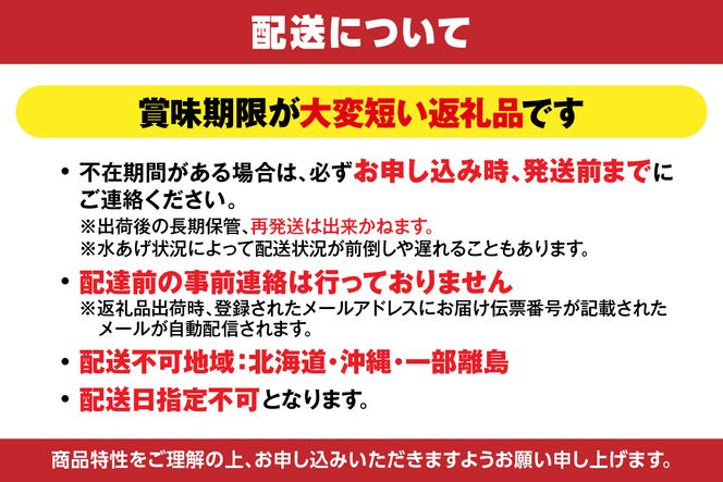 【香住ガニ 大 タグ付き ボイル 茹で 姿 約700g×2杯 冷蔵】カニの本場 香住産  最上質な香住ガニを見定め競り落とします 立派なカニを自信を持って提供いたします 大人気 カニの旨味と甘味が抜群 鮮度抜群 香住漁港 国産 かに カニ ベニズワイガニ 兵庫県 香美町 マルヤ水産 11-04