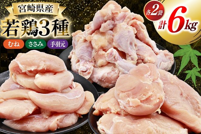 鶏肉 詰め合わせ 宮崎県産 むね肉 ささみ 手羽元 セット 各 1kg 2p 計 6kg [九州児湯フーズ 宮崎県 美郷町 31ai0022] 肉 精肉 鳥肉 とり肉 鳥 鶏 若鶏 むね ムネ肉 ムネ ササミ 手羽 真空パック 冷凍 冷凍保存 小分け