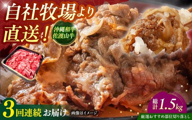 yꌧszyS3ցzyIIߕʁza nR ؂藎Ƃ 500g  ē Ă a Ԑg s / ̃Tu[[BCBC008]