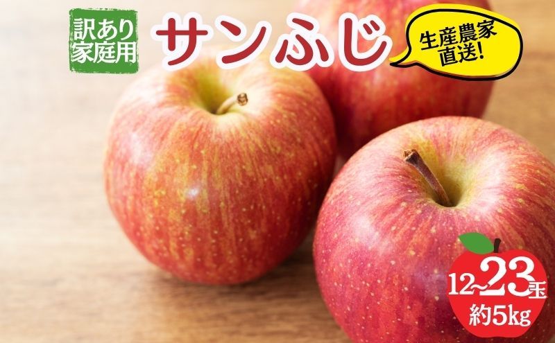 [レビューCP実施中][2026年12月発送]サンふじ 訳あり家庭用 約5kg 12〜23玉 りんご 果物 訳あり 信州 長野