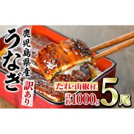 【0304313a】＜訳あり＞東串良町のうなぎ蒲焼(無頭)(5尾以上・計約1kg・タレ、山椒付) うなぎ 高級 ウナギ 鰻 国産 蒲焼 蒲焼き たれ 鹿児島 ふるさと 人気【アクアおおすみ】