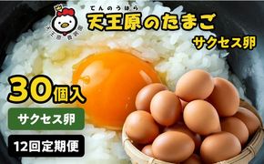 【定期便】１２回定期【天王原のたまご】サクセス卵 30個入り