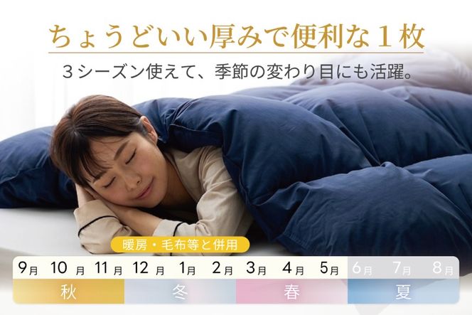 【春秋用】 洗える 羽毛布団 合掛け ダブル ホワイトダックダウン85％ 1.2kg 無地 ネイビー 中厚 春用 秋用 [川村羽毛 山梨県 韮崎市 20745414] 合い掛け 軽い羽毛 布団 コインランドリー 掛け布団 ダウンかけ布団 ふとん 羽毛ふとん 合掛け布団 エクセルゴールドラベル