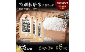 【通年受付】≪令和8年産≫ 農家直送！魚沼産コシヒカリ特別栽培「白羽毛の米」精米 (2kg×3袋) 6kg お米 白米 ご飯