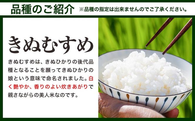 【令和8年2月～令和8年7月発送】米 お米 令和7年産 備中笠岡ふるさと米【6ヶ月定期便】5kg × 6ヶ月【先行受付】 国産 ヒノヒカリ にこまる きぬむすめ 単一原料米 検査済み 国産 ブランド米 お取り寄せ 送料無料 岡山県産---R7-5k-6M-R0802---
