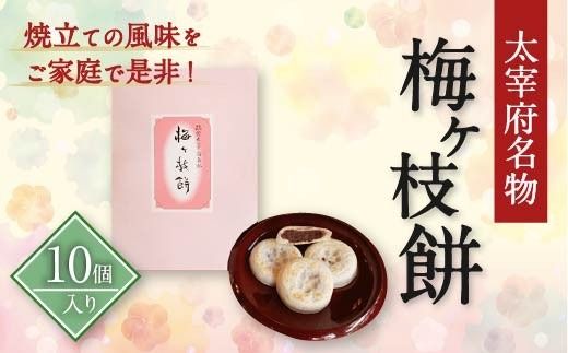 yɕ{szyɕ{z ~} 10     Qq  Ė Ă َq  yY Mtg v[g  Ⓚ