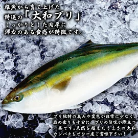 y{茧szyauzgitBj1.0kg×1@XLXCdl@N072-YB327_1